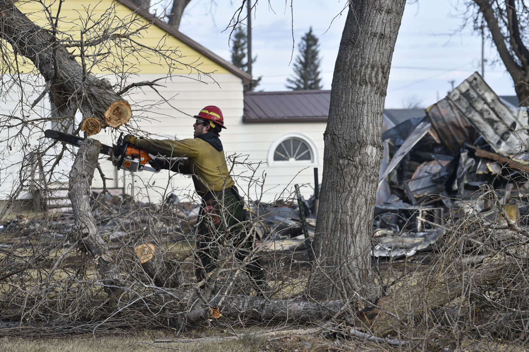 A firefighter with Grayback Forestry cuts down a burned tree